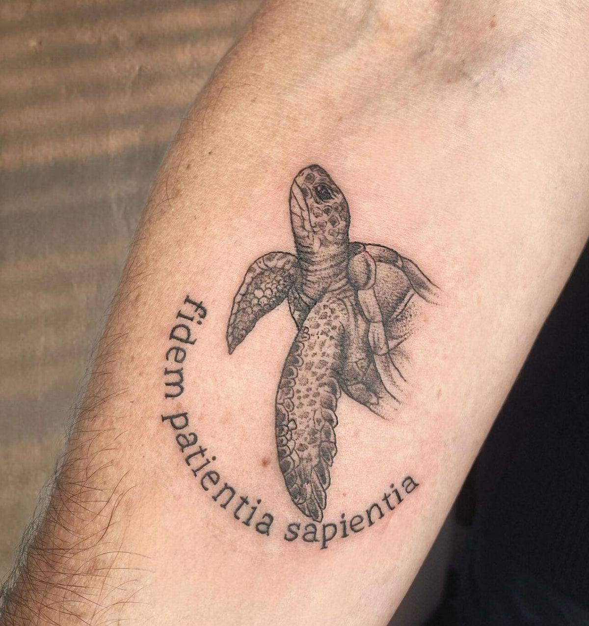Tattoo — Polli