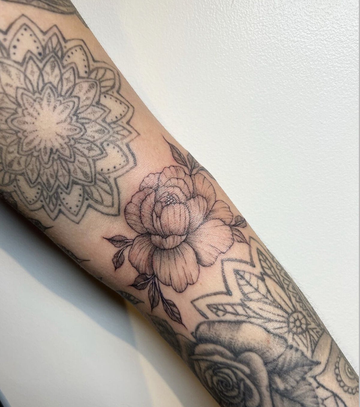 Tattoo — Sophia