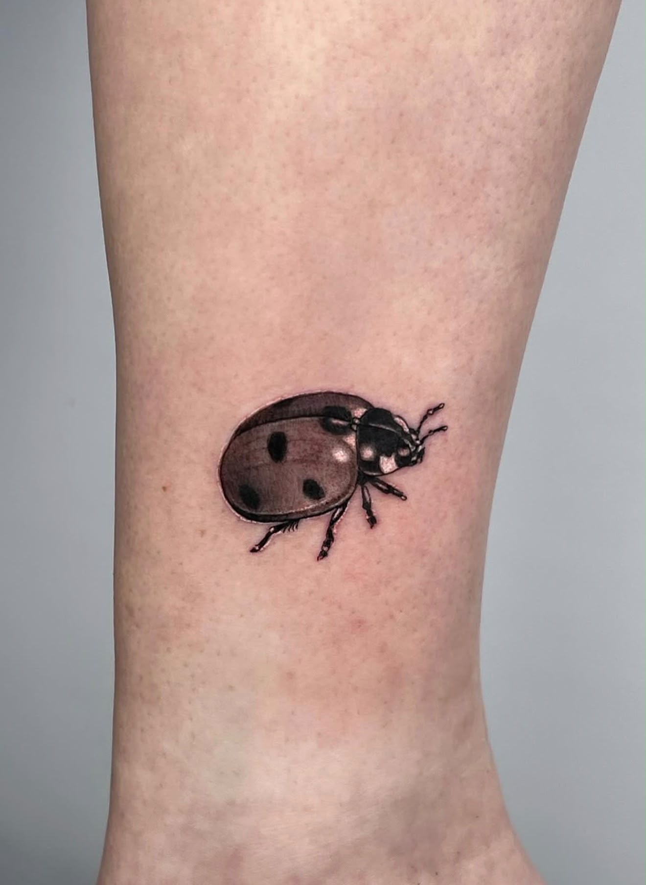 Tattoo — Sophia