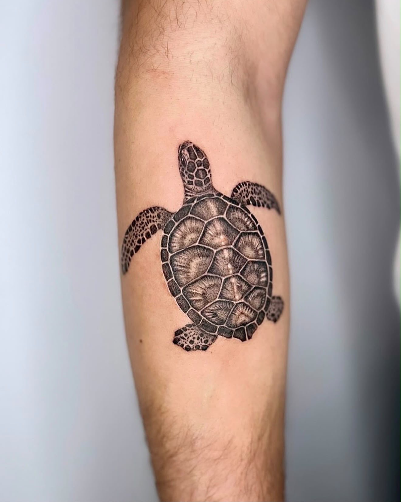 Tattoo — Sophia
