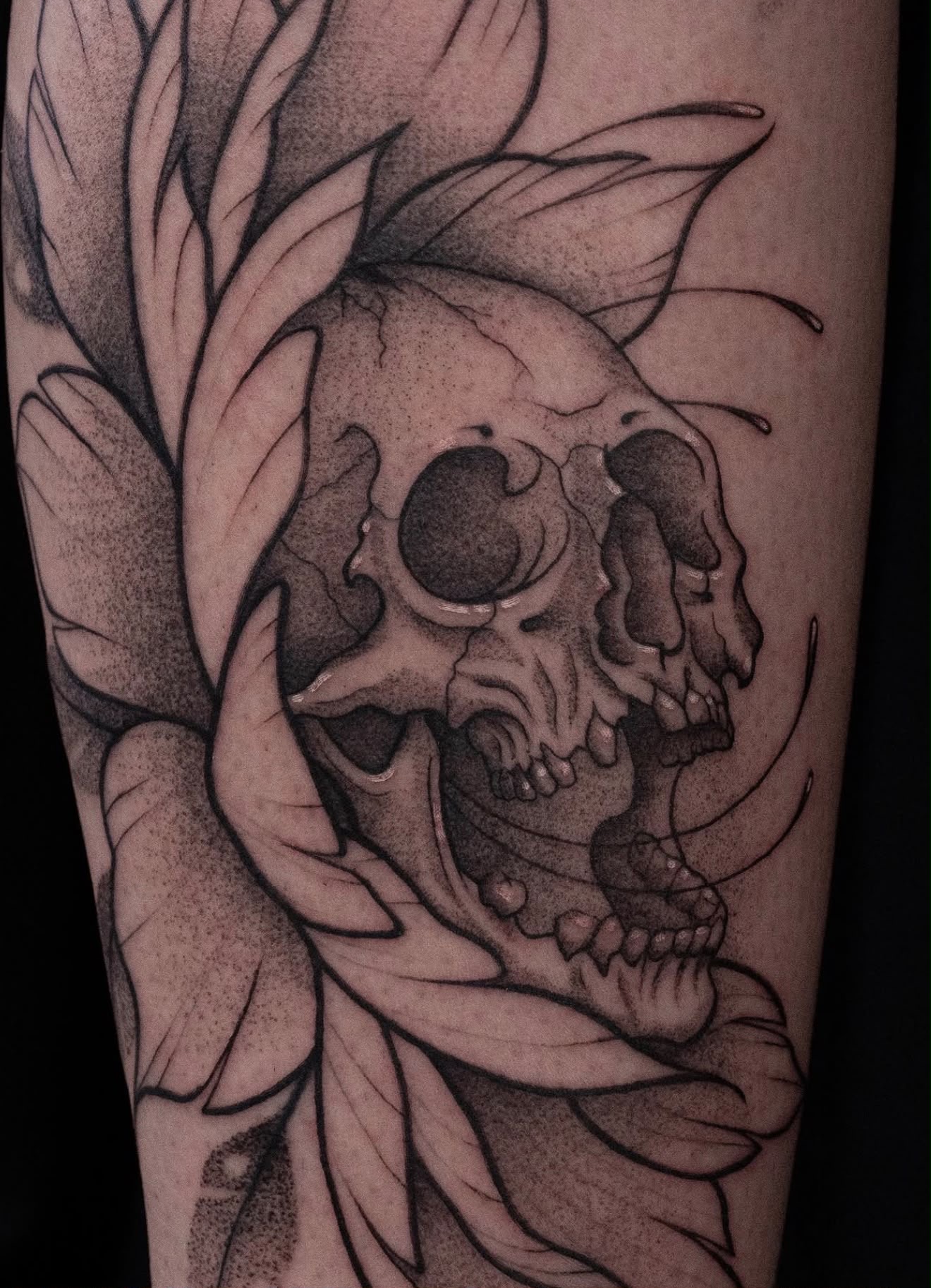 Tattoo — Vera