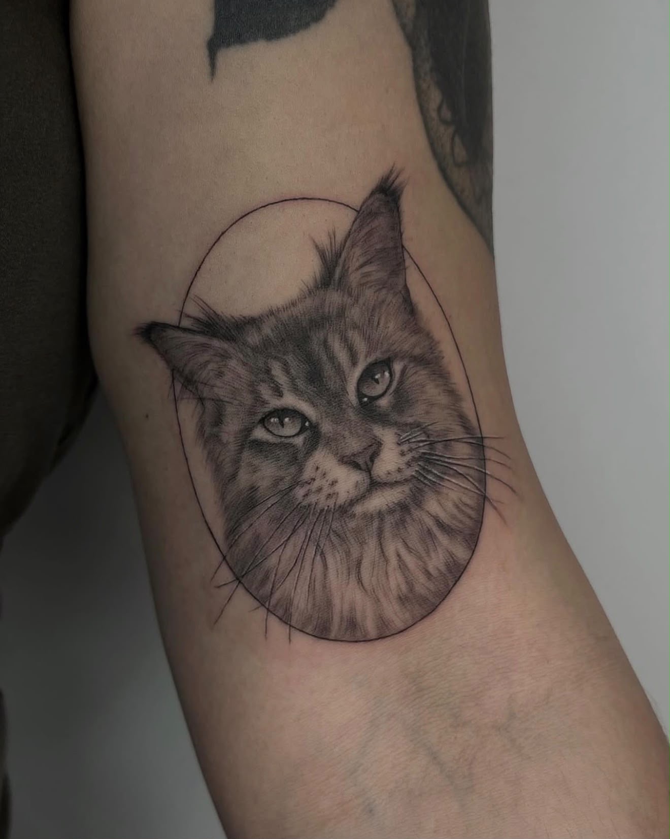 Tattoo — Vera